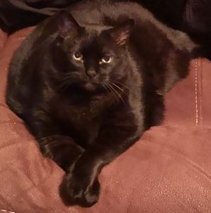 Meet your Posher, Lorraine